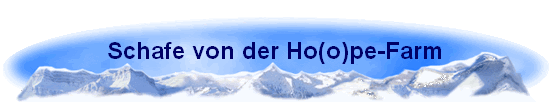 Schafe von der Ho(o)pe-Farm